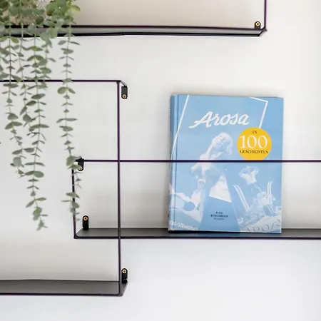 Apartment Haus Burgermeister Schiesshorn